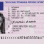 Irish Driving license